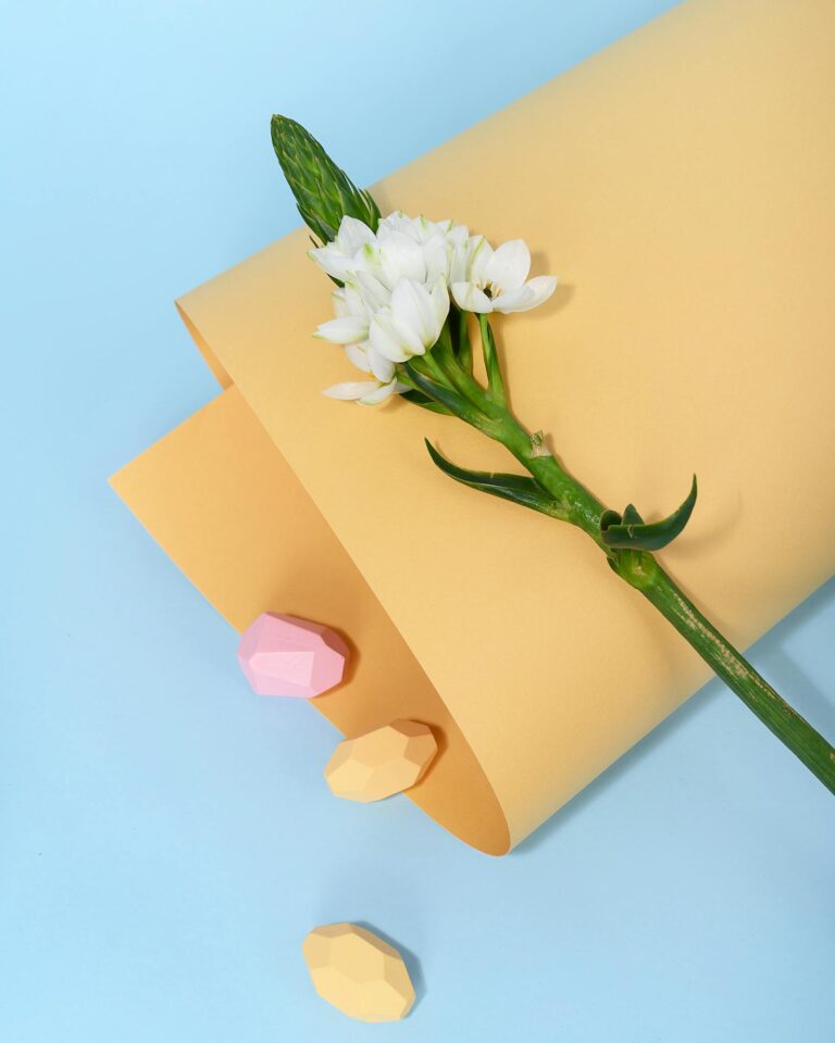 A delicate white flower on colored paper with pastel geometric objects, evoking simplicity and elegance.