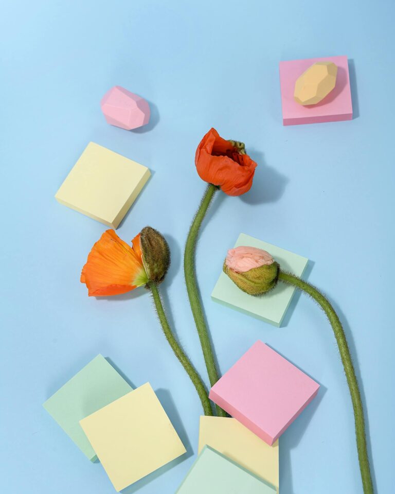 A vibrant flat lay of poppy flowers and pastel notes on a soft blue background.