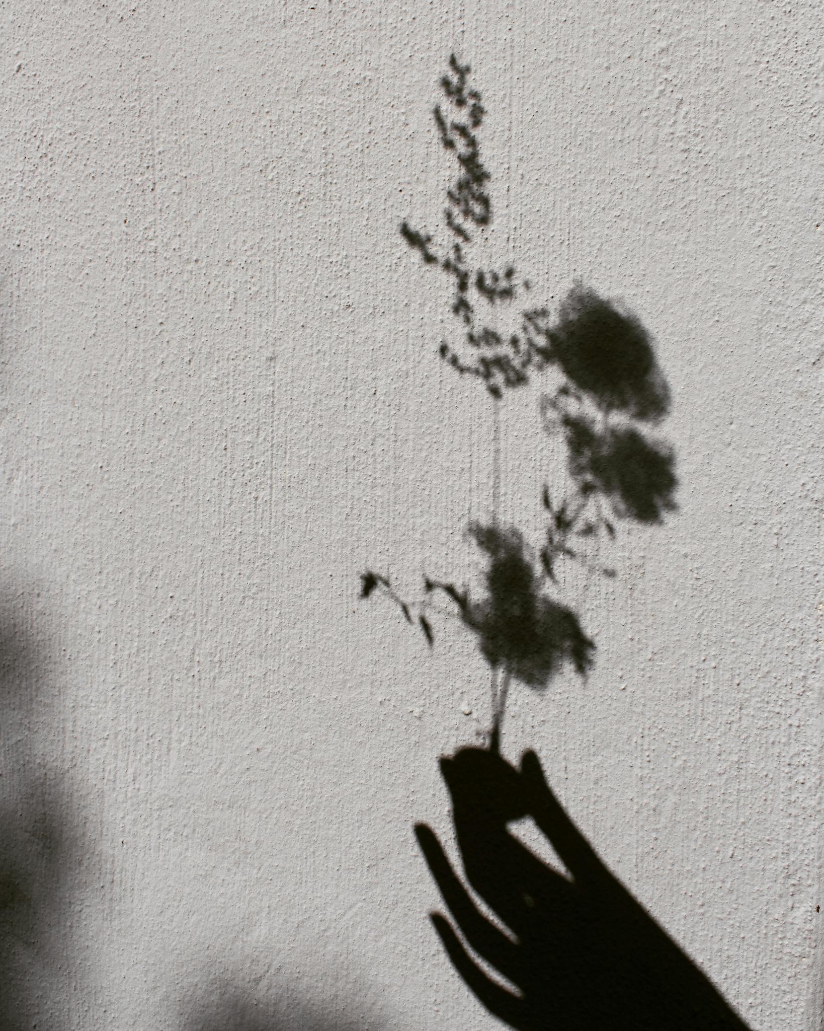 Artistic shadow of a hand with flowers against a textured wall in monochrome tones.