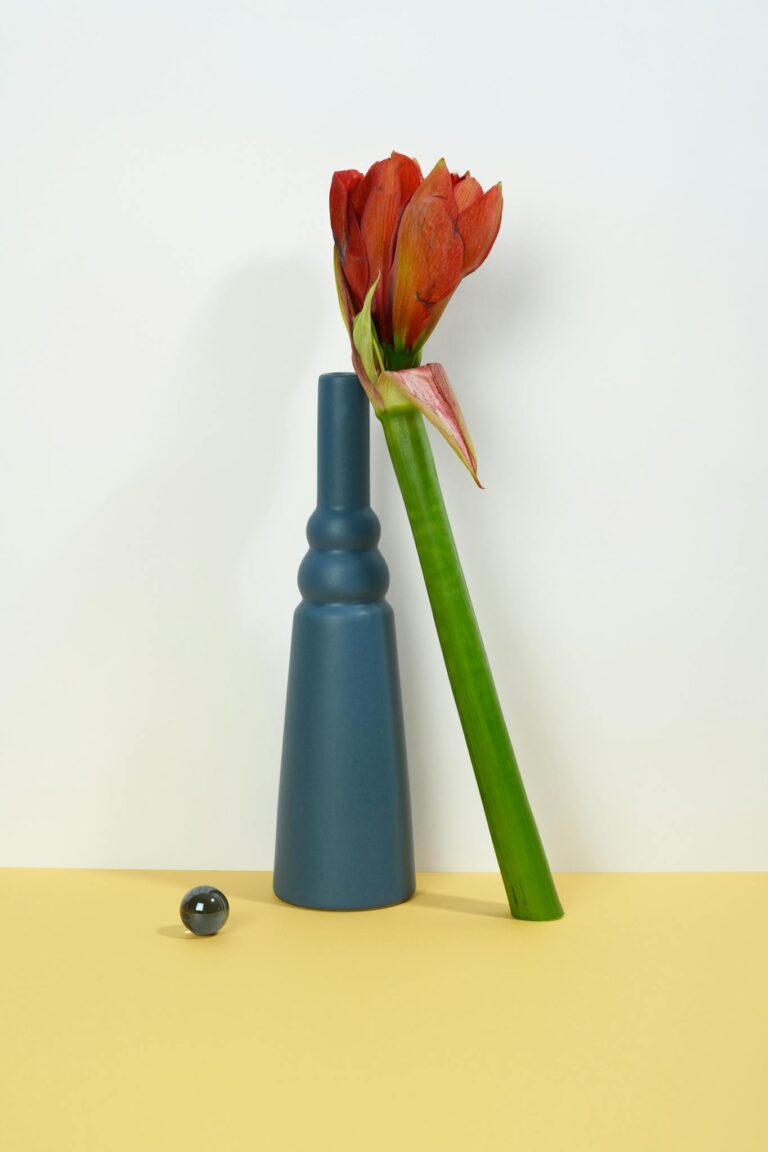 Elegant still life featuring a red flower in a blue vase against a soft yellow and white background.